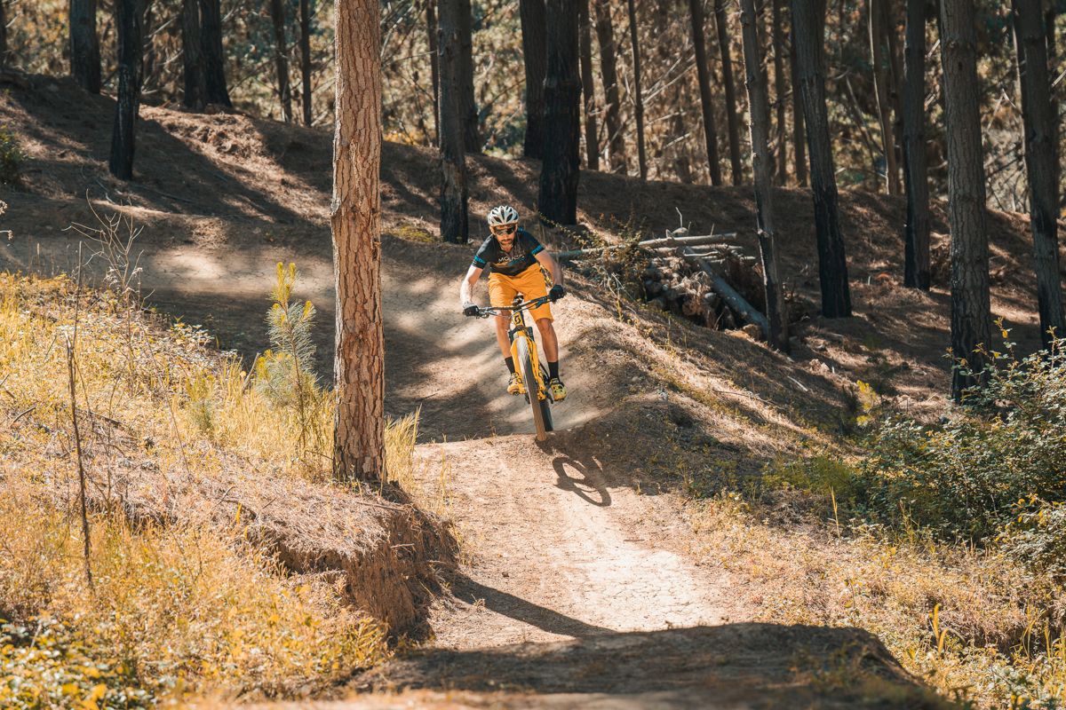 Ciclista en sendero del bosque
