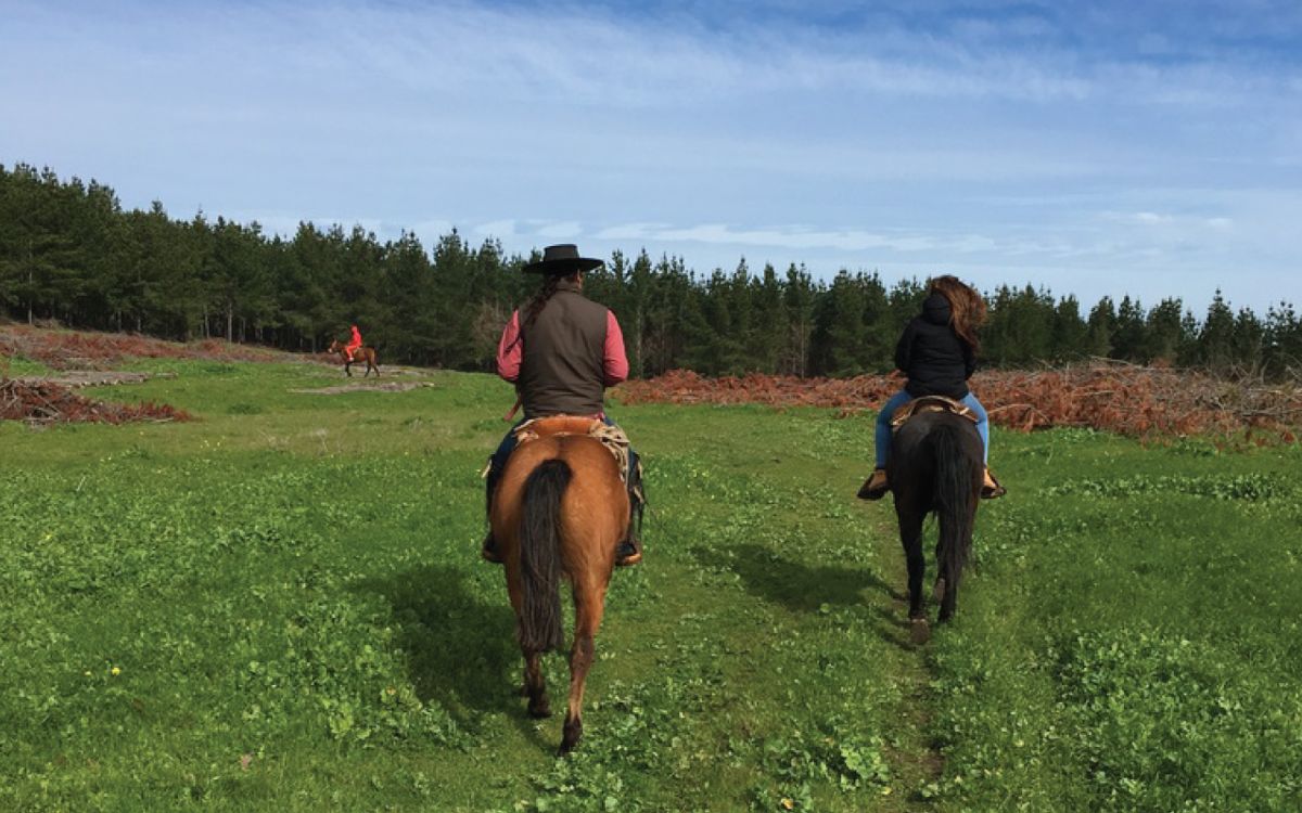 Cabalgata por la vega de Pupuya