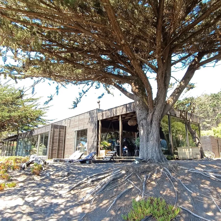 Exterior del restaurant entre los árboles