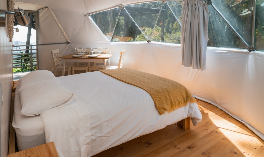 Cama con vista al bosque por la ventana del domo
