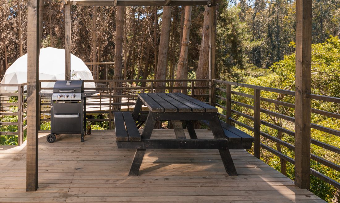 Domo entre el bosque de pinos con terraza