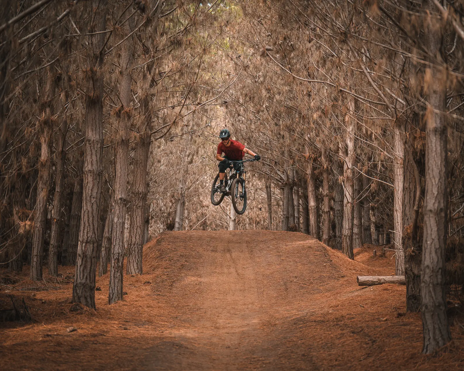 Mountain bike en el bosque de Matanzas